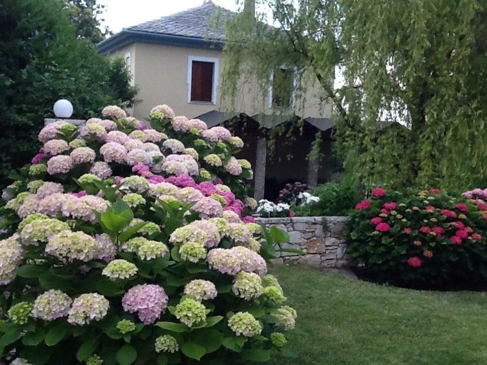 Giordani Guesthouse Tsagarada Bagian luar foto